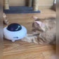 InteractivMinou™ - Robot intelligent interactif pour chat - Monchat