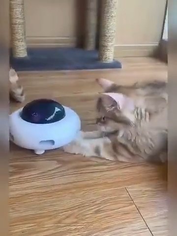 InteractivMinou™ - Robot intelligent interactif pour chat - Monchat